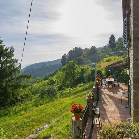 Casa Serena Villa Petrognano  Ngoại thất bức ảnh