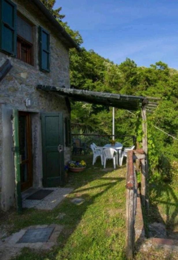 Casa Serena Villa Petrognano  Ngoại thất bức ảnh